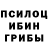 Галлюциногенные грибы ЛСД DANI GUNS