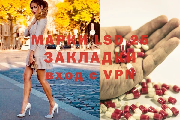 прущие грибы Балабаново