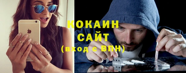 прущие грибы Балабаново