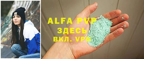 прущие грибы Балабаново