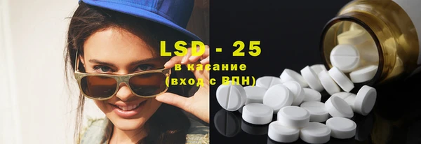 прущие грибы Балабаново