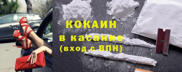 прущие грибы Балабаново