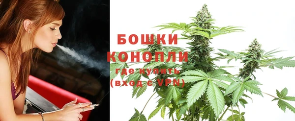 каннабис Аркадак