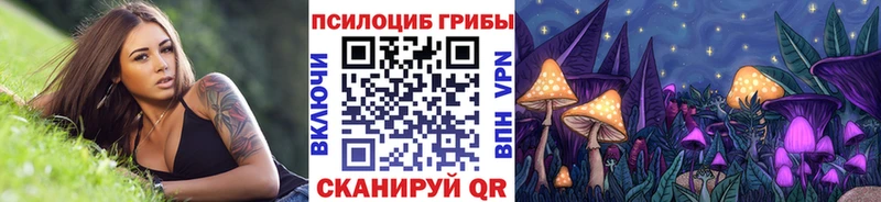 Галлюциногенные грибы Psilocybine cubensis  Бодайбо 